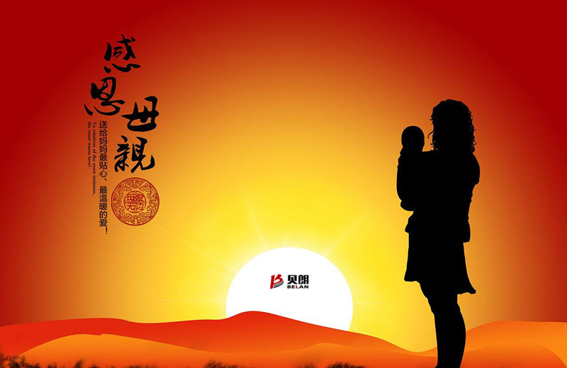 媽媽,您辛苦了! 媽媽,您辛苦了!