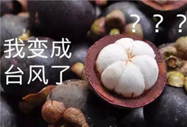 “山竹”還未走遠(yuǎn),但貝朗全自動(dòng)彎線(xiàn)機(jī)已正常上班啦! “山竹”還未走遠(yuǎn),但貝朗全自動(dòng)彎線(xiàn)機(jī)已正常上班啦!