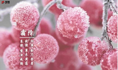 貝朗自動化設備——霜降 貝朗自動化設備——霜降