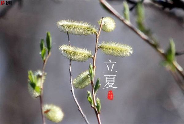 轉載網上圖片——立夏 轉載網上圖片——立夏