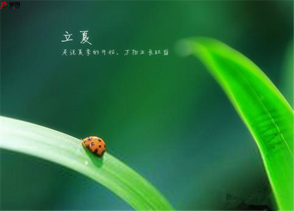 轉載網上圖片——立夏 轉載網上圖片——立夏
